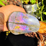 Large Purple Flash Labradorite Freeform (Item #0099)