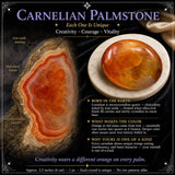 Carnelian Palmstone