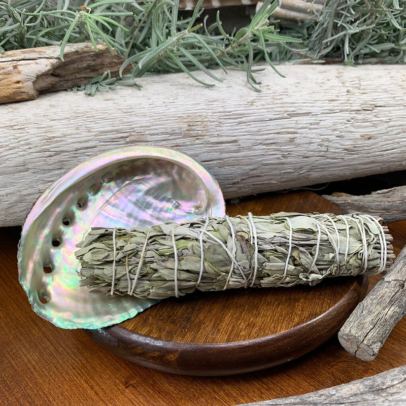 Smudge Kit: White Sage (6-Inch) + Abalone Shell