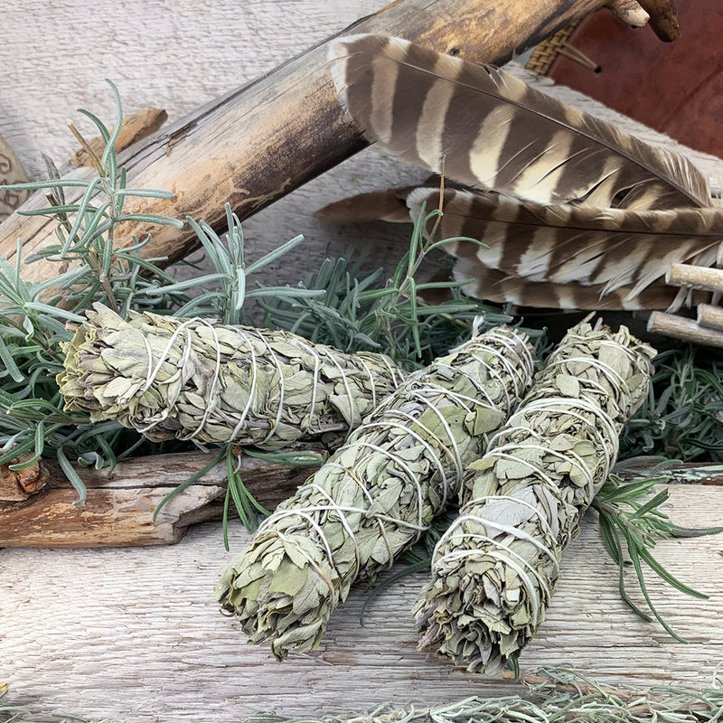 6-Inch White Sage Bundles