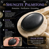 Pietra di palma di shungite