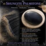 Pietra di palma di shungite
