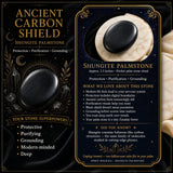 Pietra di palma di shungite