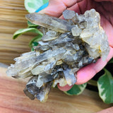 Copy of Smoky Quartz Cluster - clustergeode