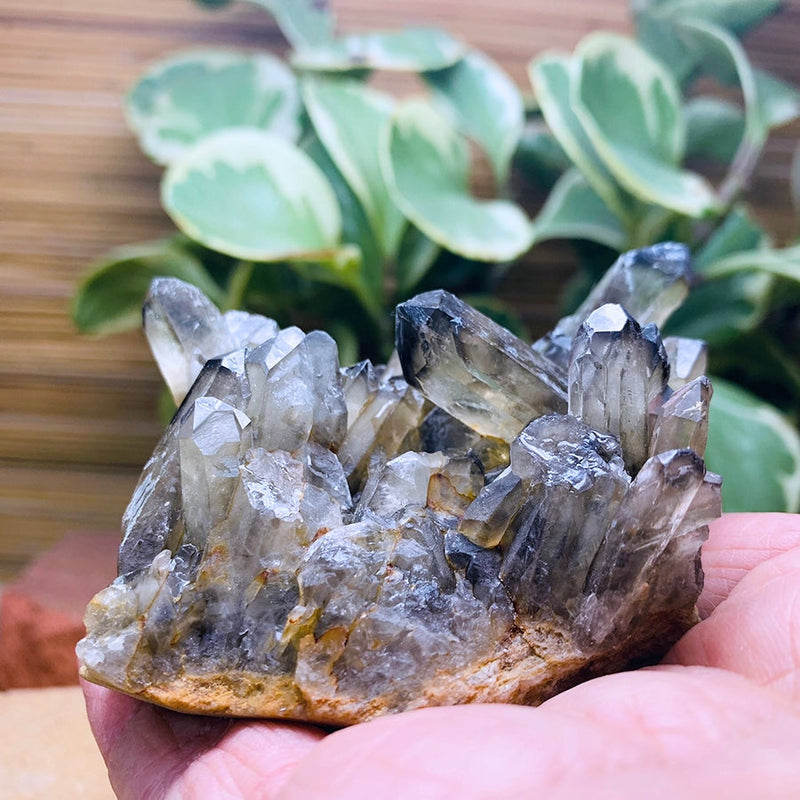 Copy of Smoky Quartz Cluster - clustergeode