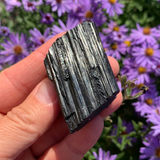 Crystal Allies Kit - 8 Powerful Specimens (FLASH SALE 82% OFF)