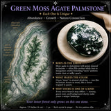 Grønn mossagat palmestein