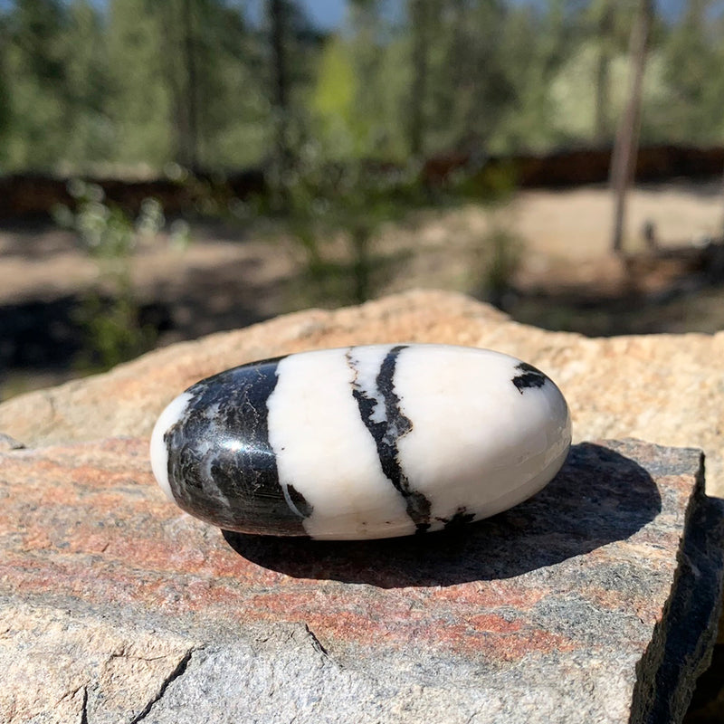 Zebra Jasper Palmstone