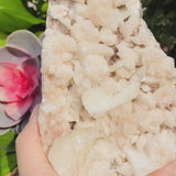 Large (1.26 lbs.) Zeolite Geode (Item #0029)