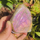 Purple Flash Labradorite Freeform (Item #0098)