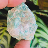 Amazonite Rough Natural Stone