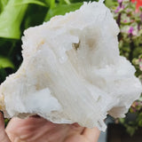 Large Selenite Cluster (Item #0044)